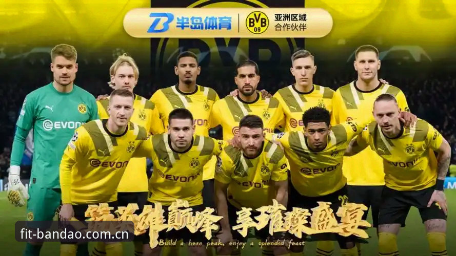 半岛综合体育平台2026新版实用指南：从安装到资讯获取的七条关键经验
